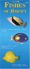 Fishes Of Hawaii (Hawaii Pocket Guides)